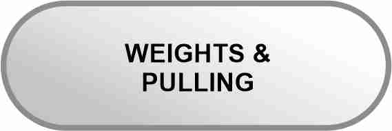 WEIGHTS AND PULLING